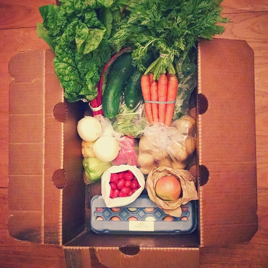 Greenhearts Family Farm CSA 1