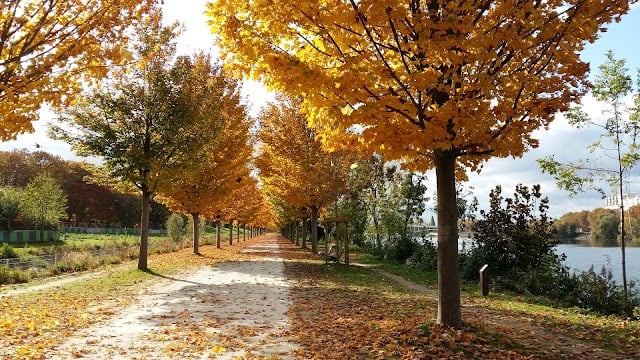 Parc Pierre Lagravère 1
