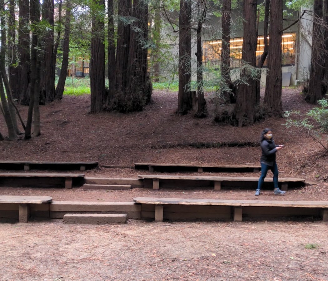 Mill Valley Celebrates 125 Years 2