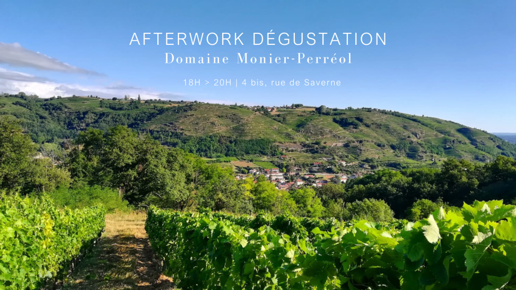 Dégustation de vins biodynamiques avec Guillaume 2