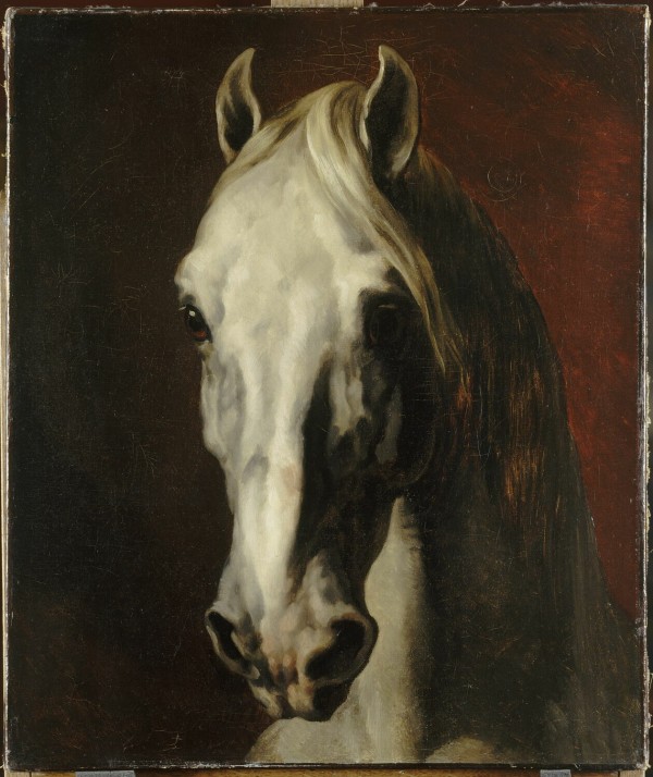 Cheval en majesté - Au cœur d'une civilisation 3