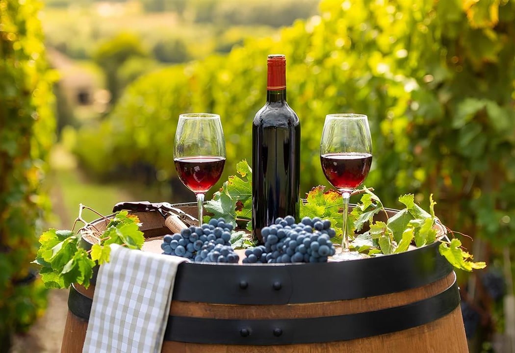 Spring Wine Dinner 1