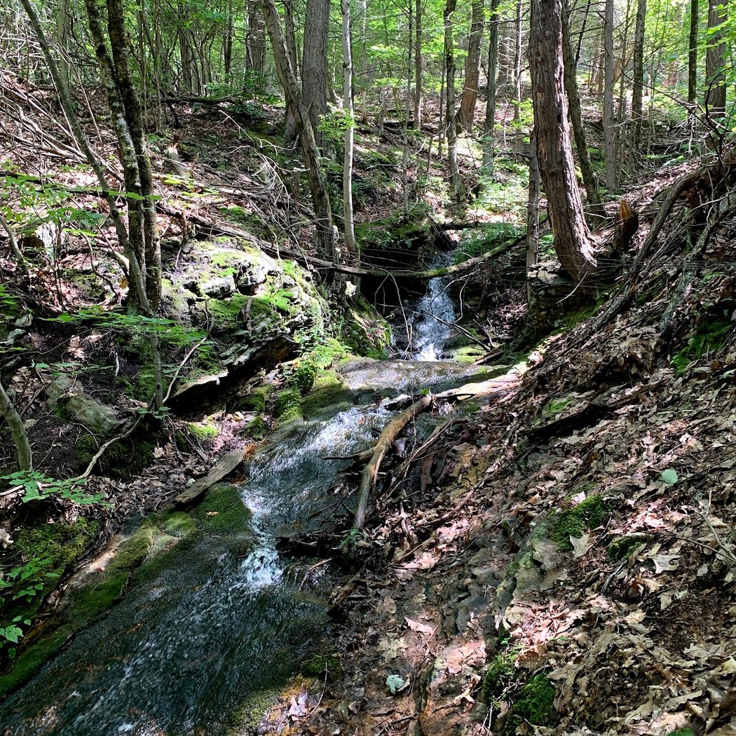 Empire State Trail - Stormville Parking 3