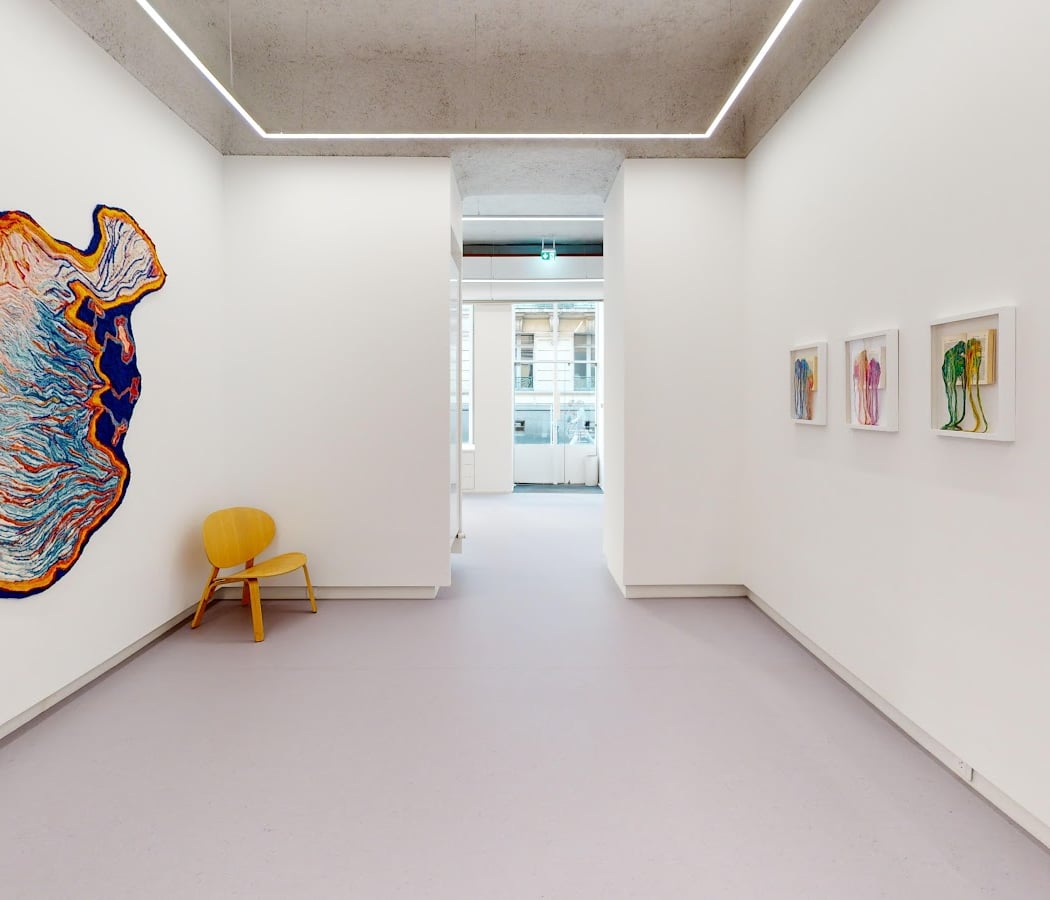 Exposition personnelle d'oeuvres récentes de Soo Kyoung Lee 1