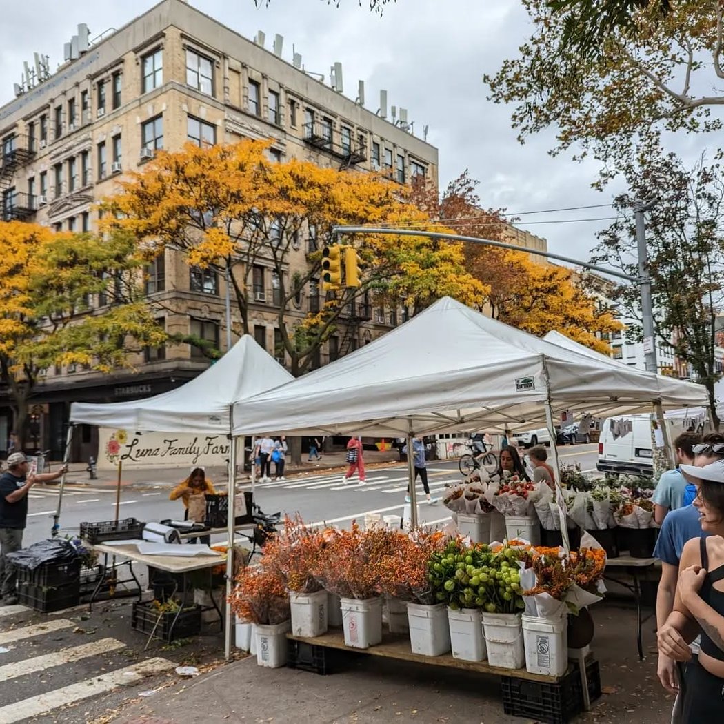 Tompkins Square Park Greenmarket 2