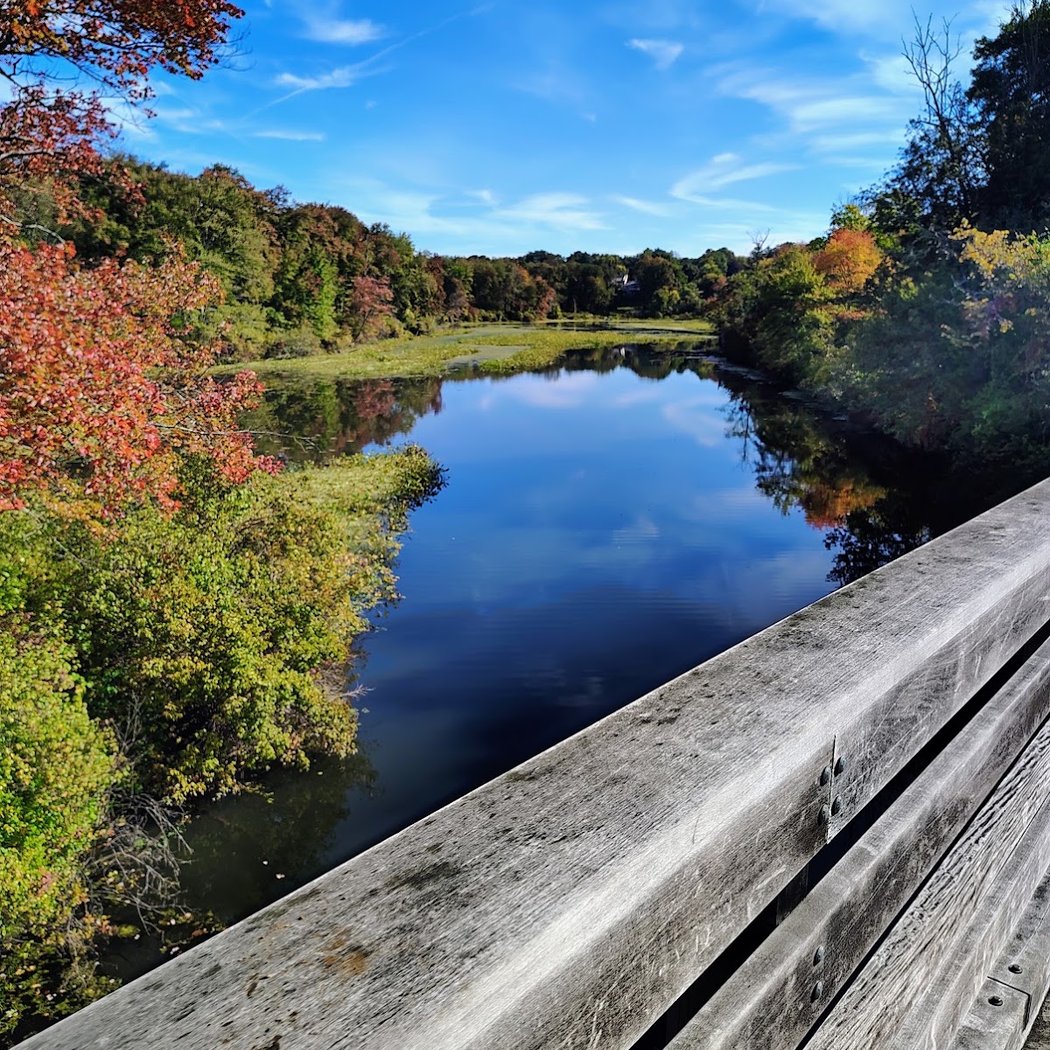 Cold Spring Park 1