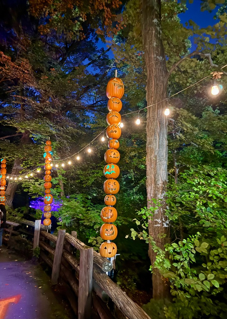 Harvest Glow 3