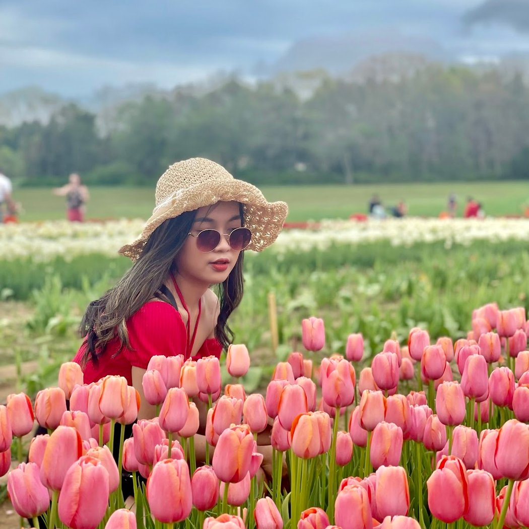 Wicked Tulips - Preston CT 2
