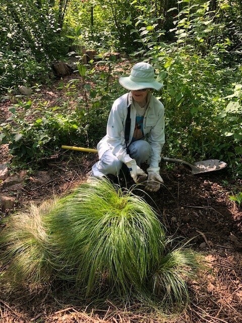 Weekly Weeders 4