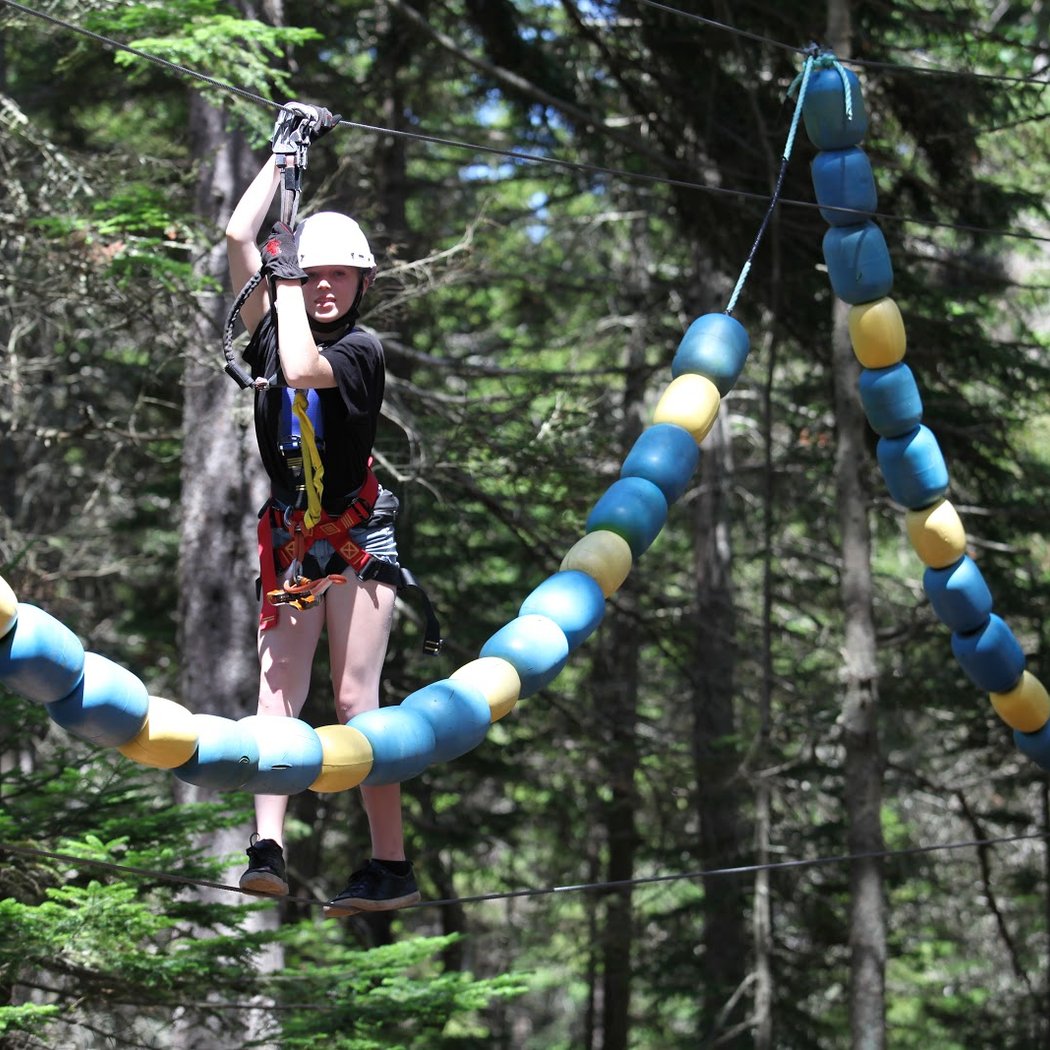 TimberTop Adventures 3