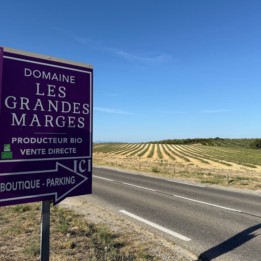 Valensole Lavender field 3
