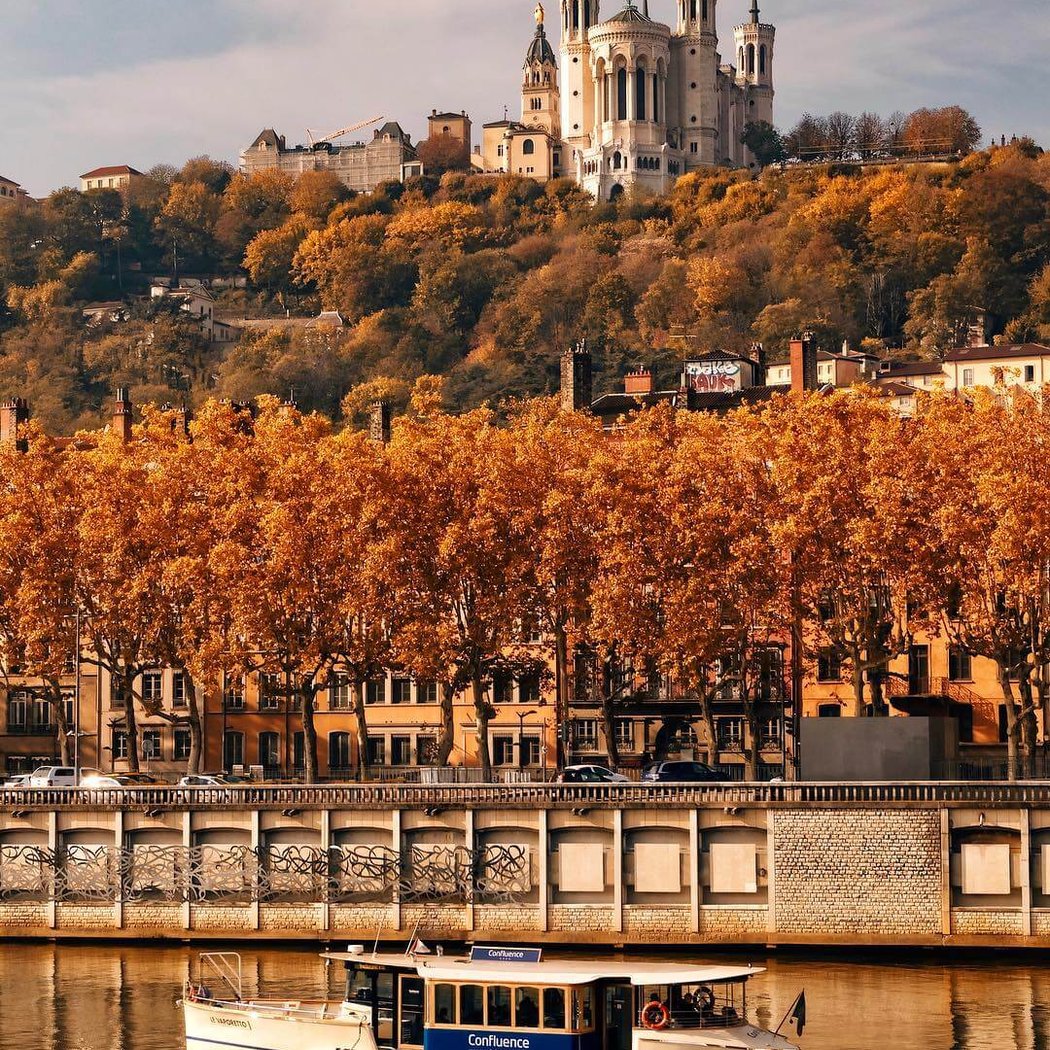 Lyon 1
