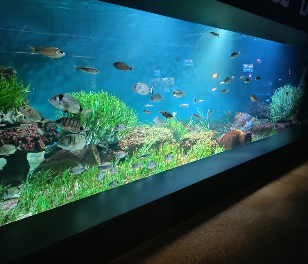 Aquarium de Vendée 3