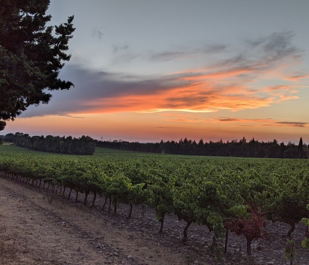 Terroirs en fête 1