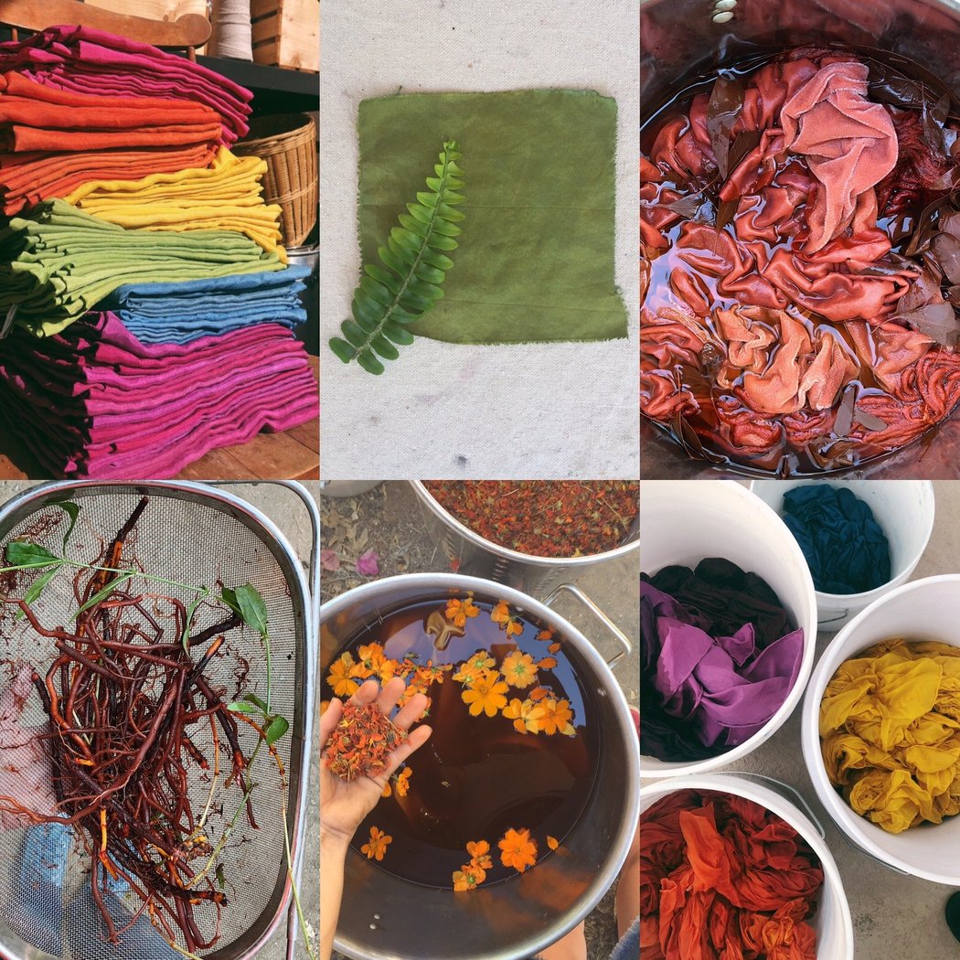 Plant Dye Craft: Cards & Wands 1