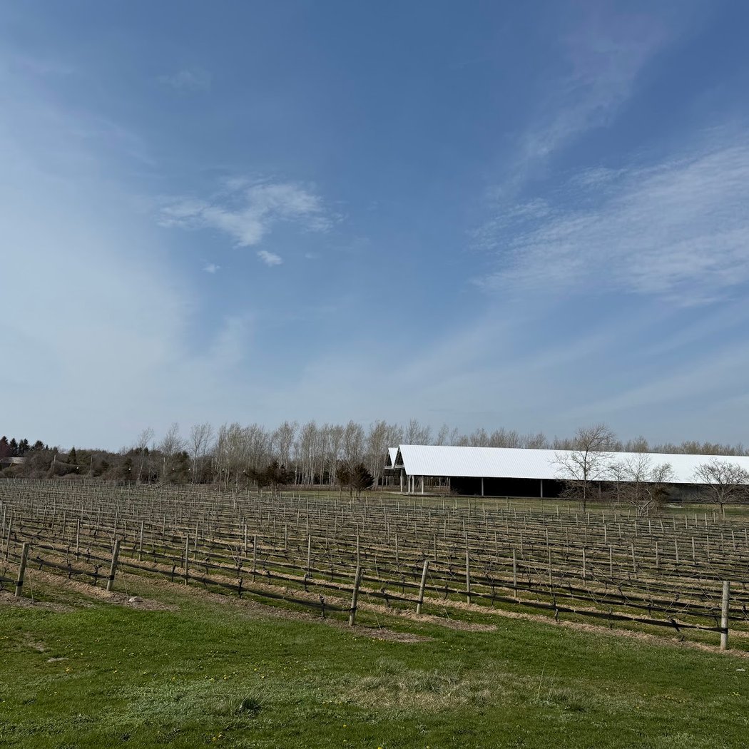 Duck Walk Vineyard 4