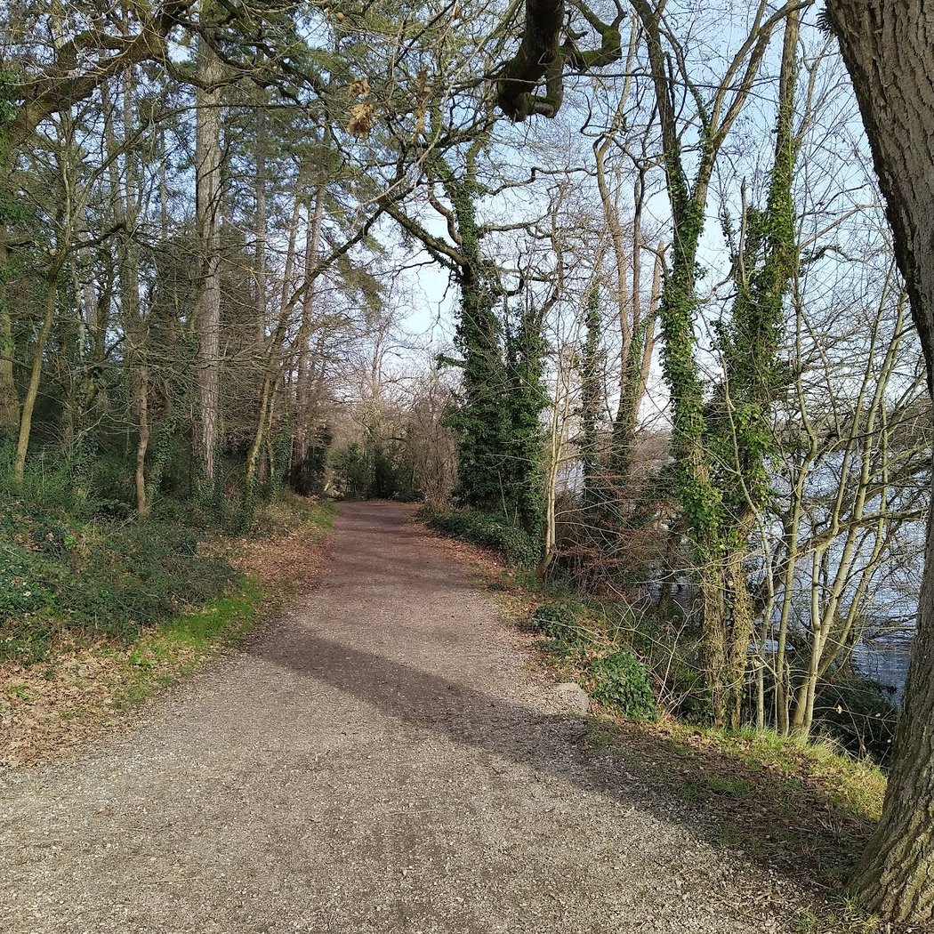Promenade de l'Erdre - Fac à Jonelière 1