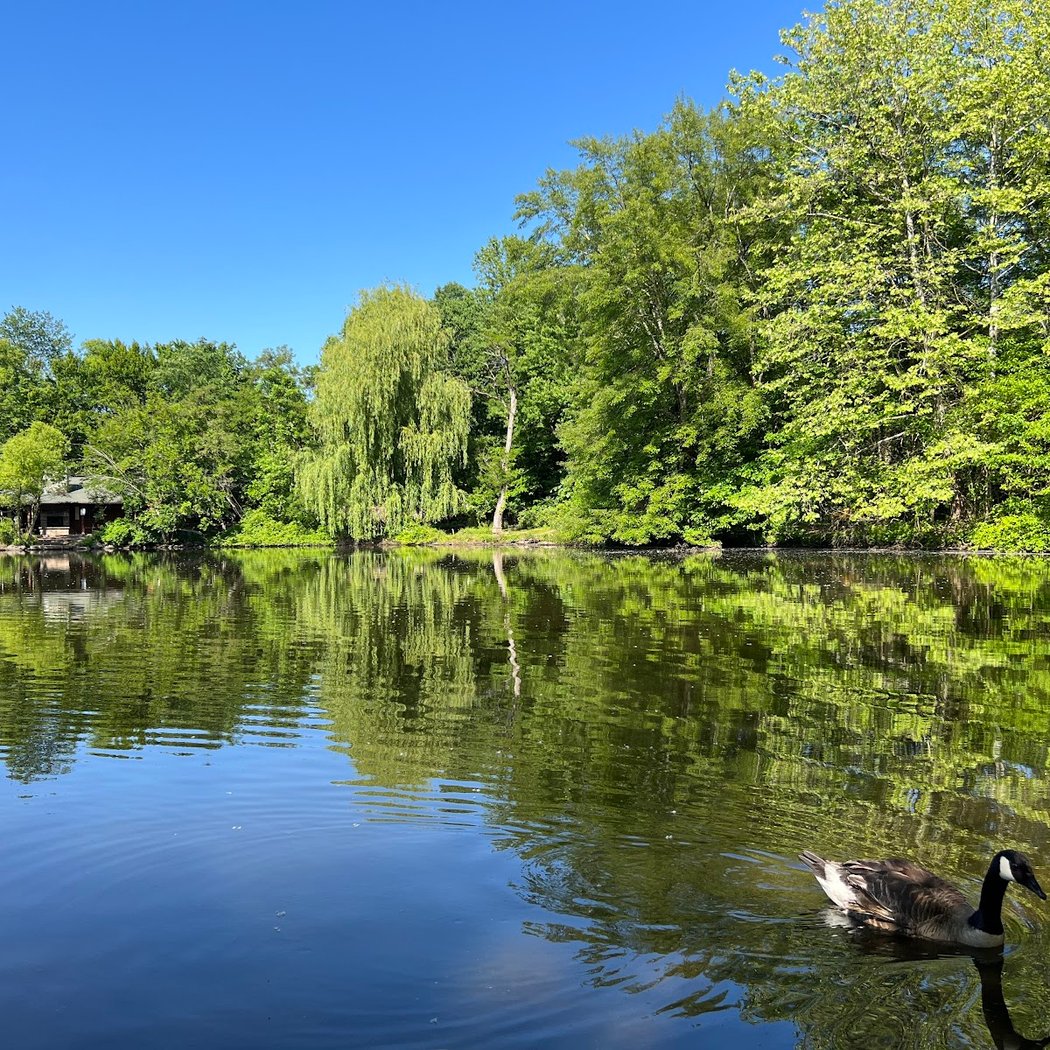 Closter Nature Center 2