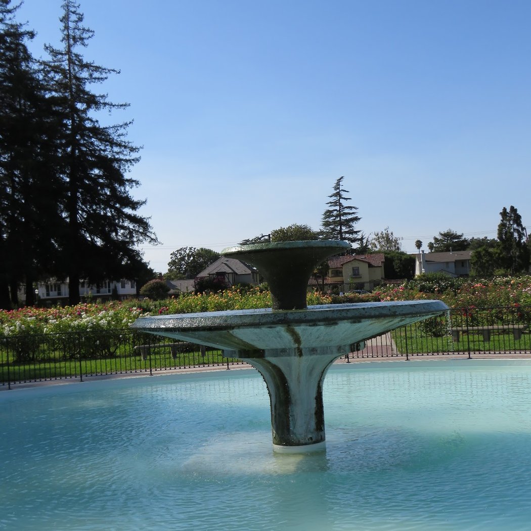 Rose Garden 4