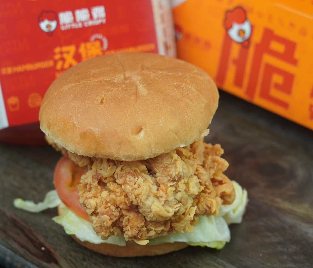CRISPY BURGER 1