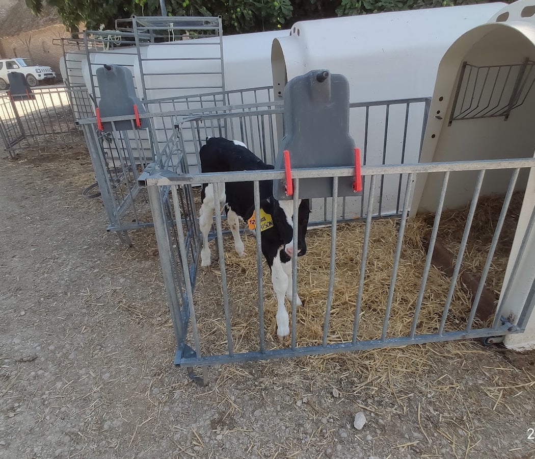 La Ferme des Tourelles (GAEC) 2