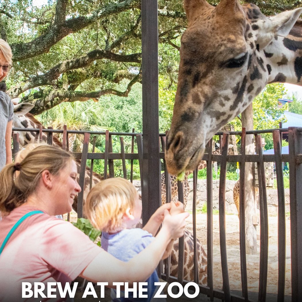 BREW AT THE ZOO