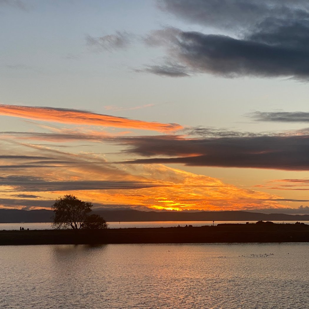 San Leandro Marina - to walk 1