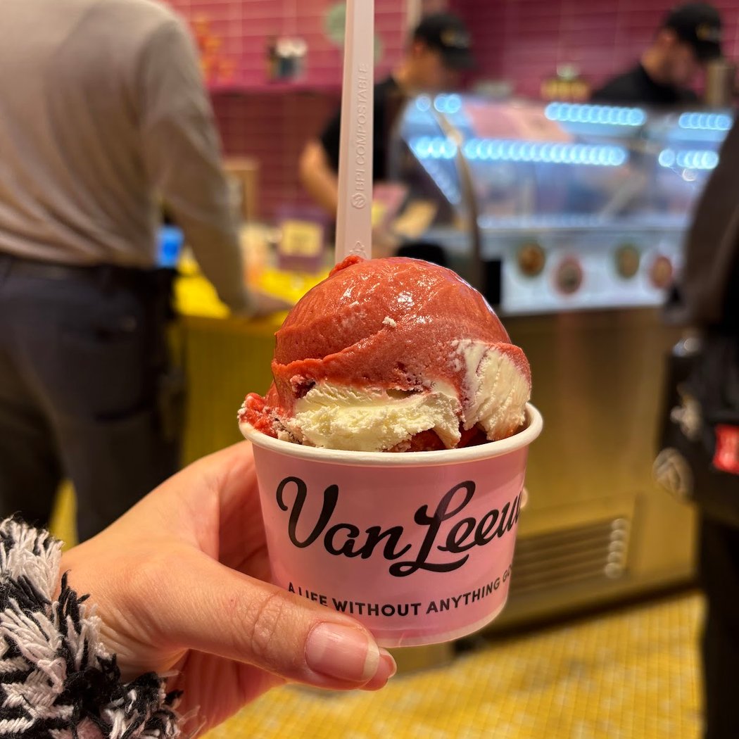 Van Leeuwen Ice Cream 2