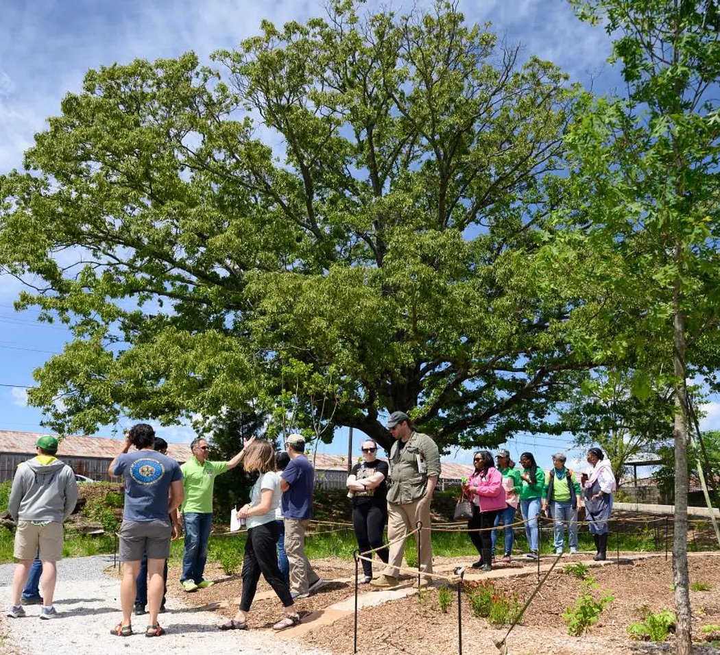 Atlanta Beltline Arboretum 3