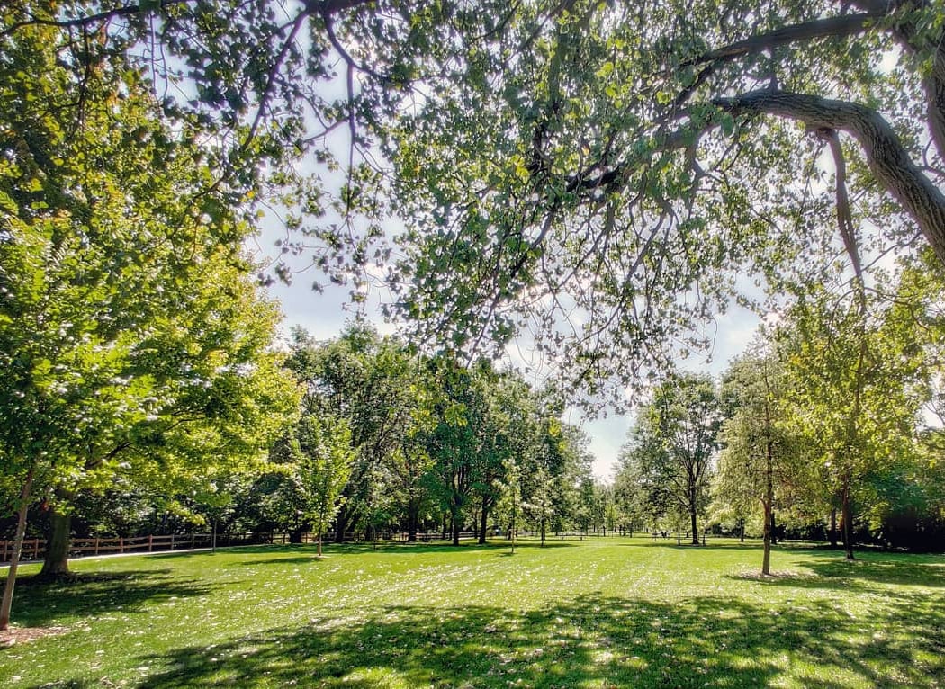 Horner (Henry) Park