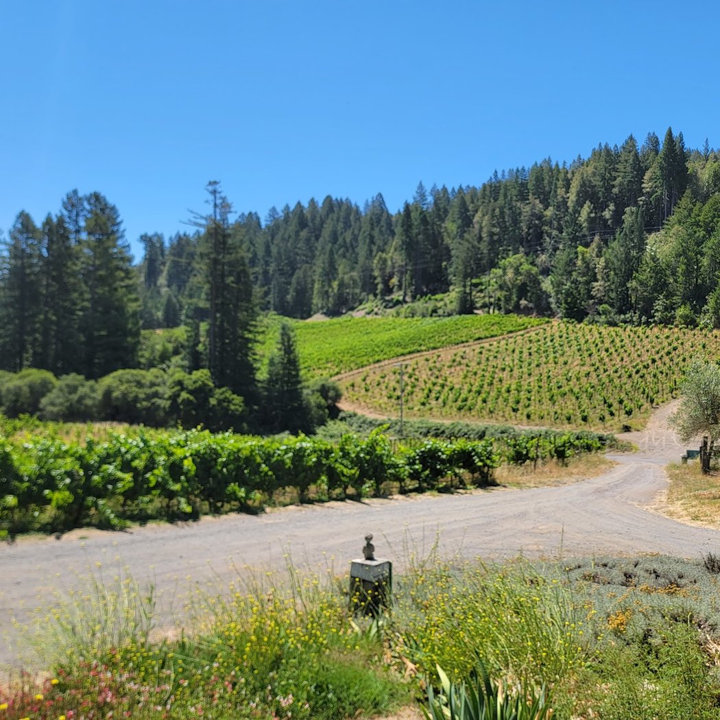 Porter-Bass Winery 3