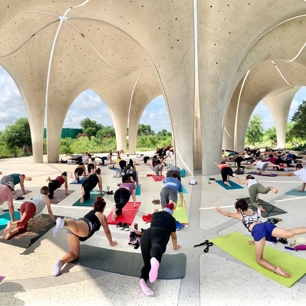 Mindful Flow Yoga 2