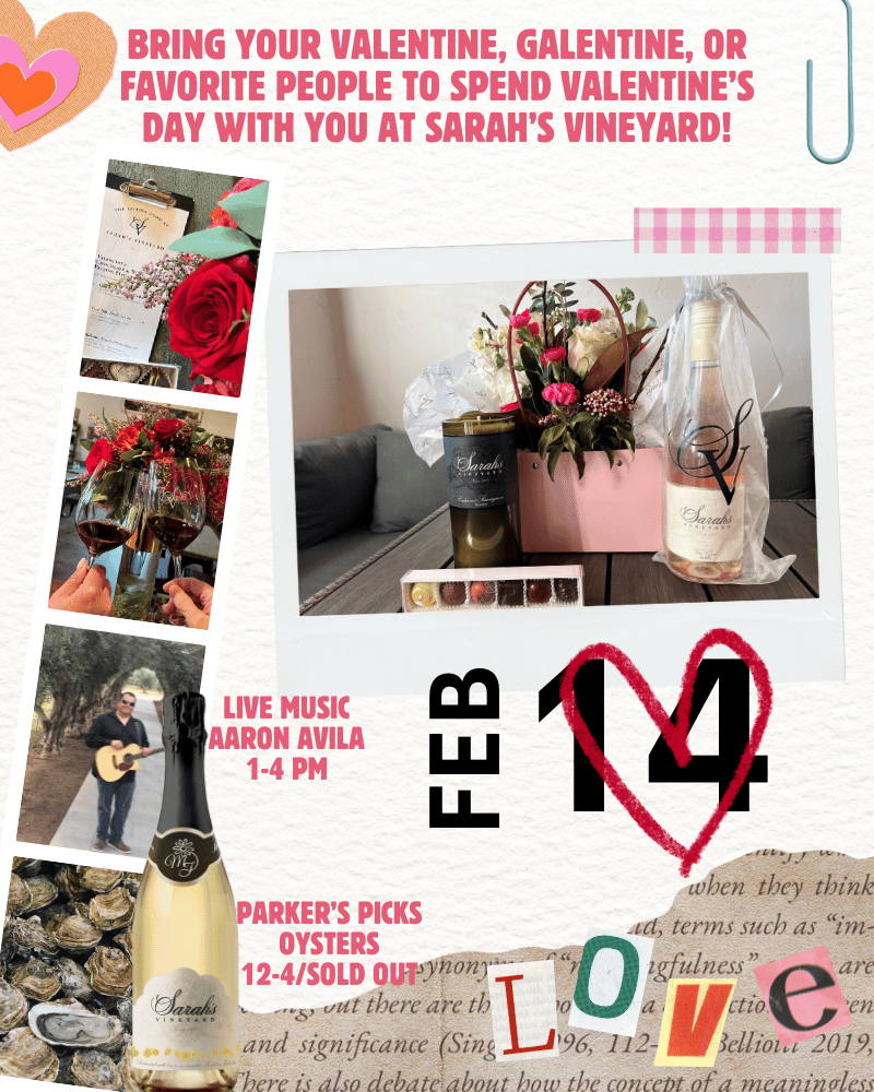 Valentine's Day at Sarah's Vineyard 1