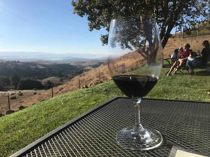 Big Dog Vineyards Wine Tasting 2
