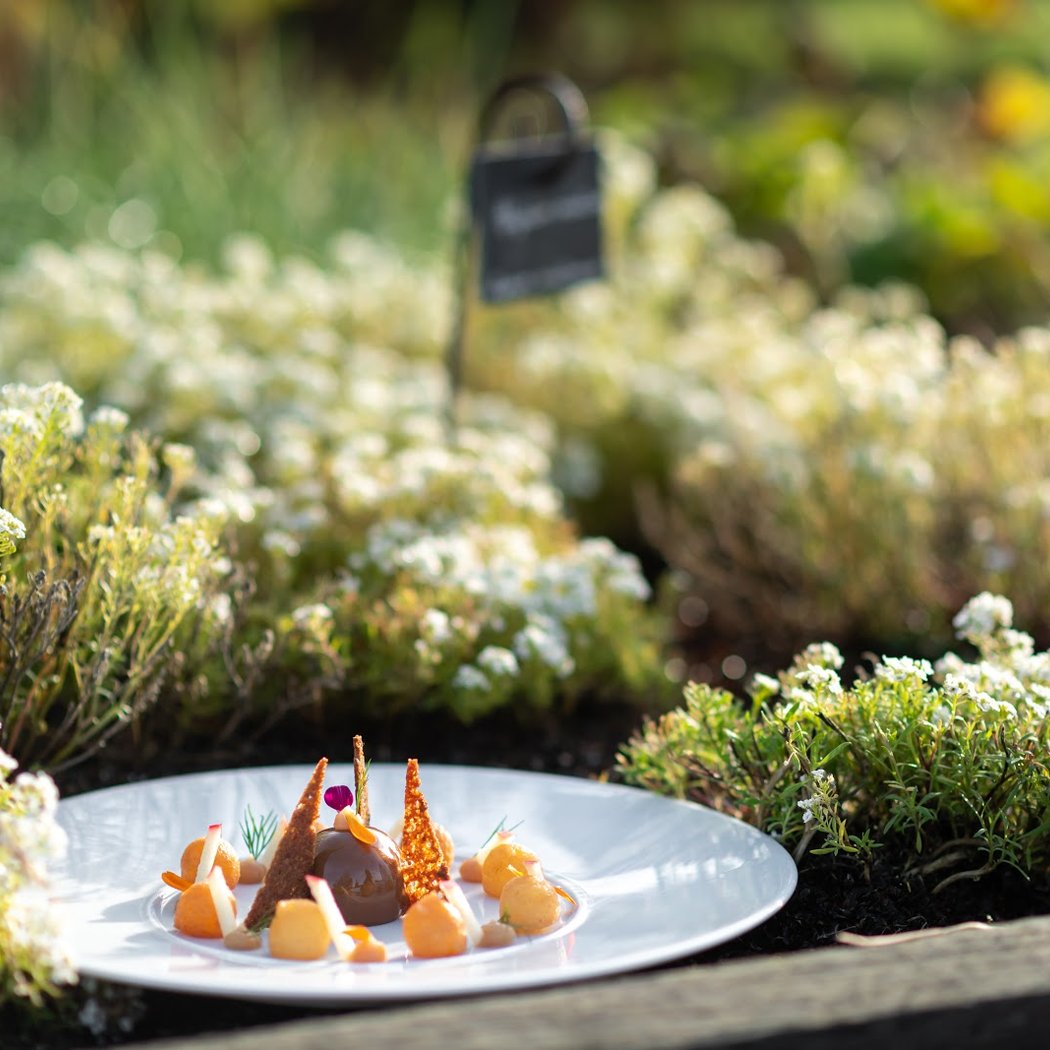 Les Jardins Sauvages 1