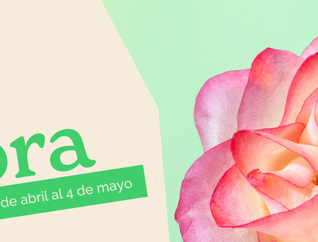 Instalación artística y punto selfie WOW de Primavera 1