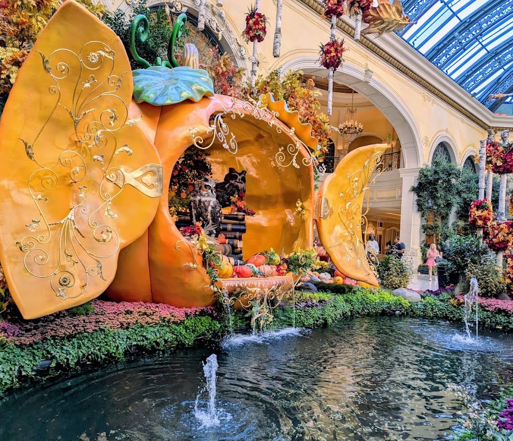 Casting Tranquility: Autumn Artistry