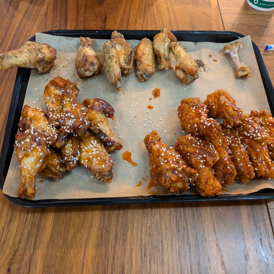 PROFESSOR WINGS 3