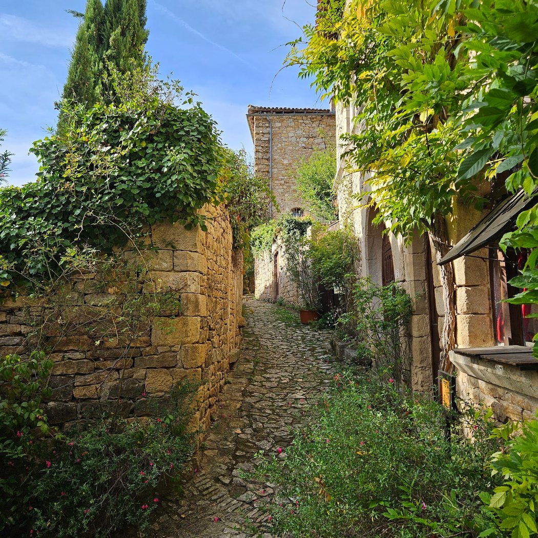 Village Médiéval de Bruniquel 1