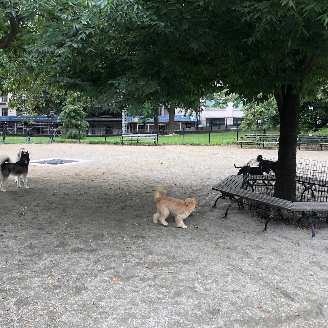 West 72nd Street Dog Run 3