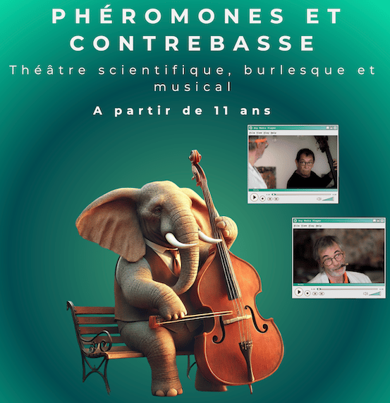 Mercier Musique 1