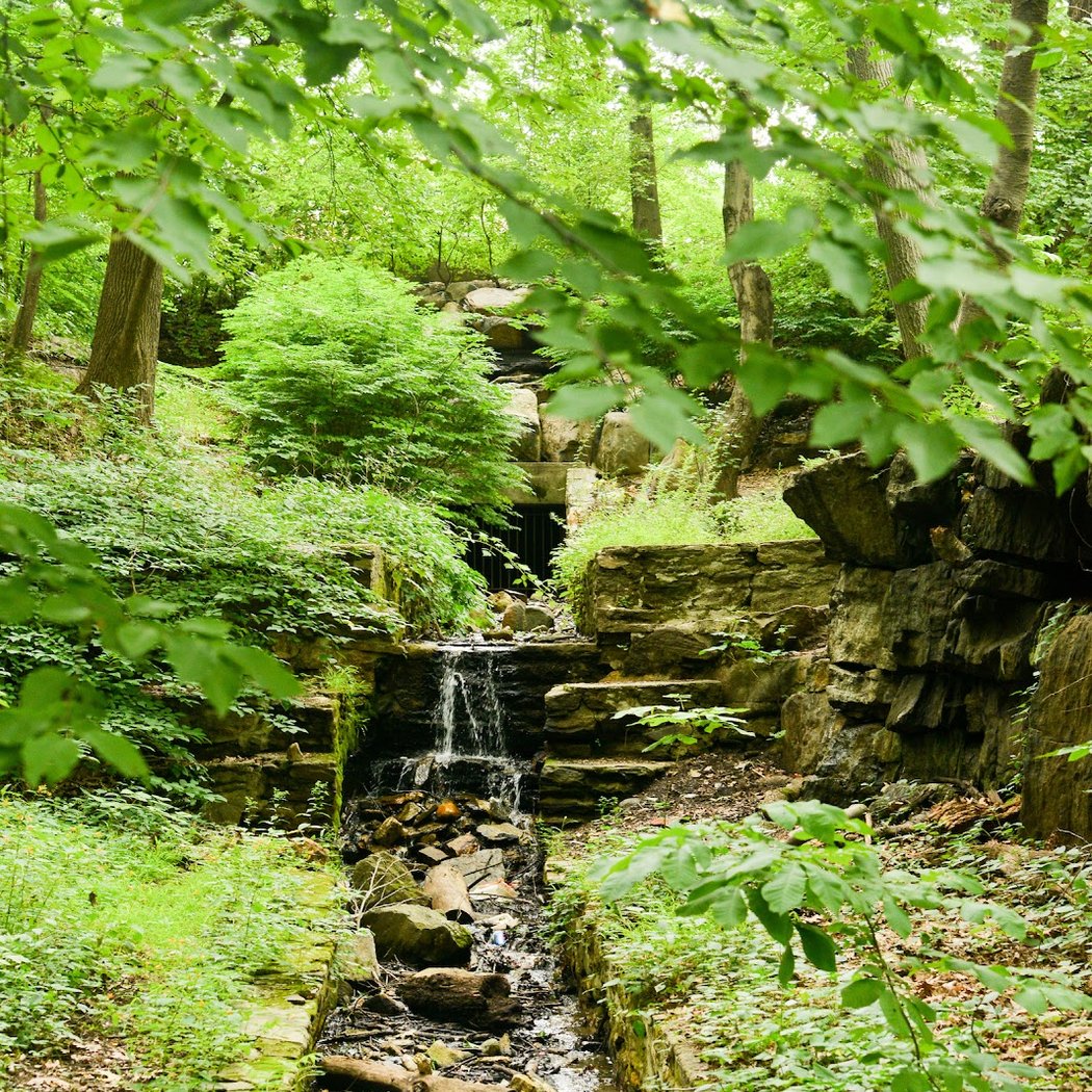 It's My Park at Seton Falls Park 2
