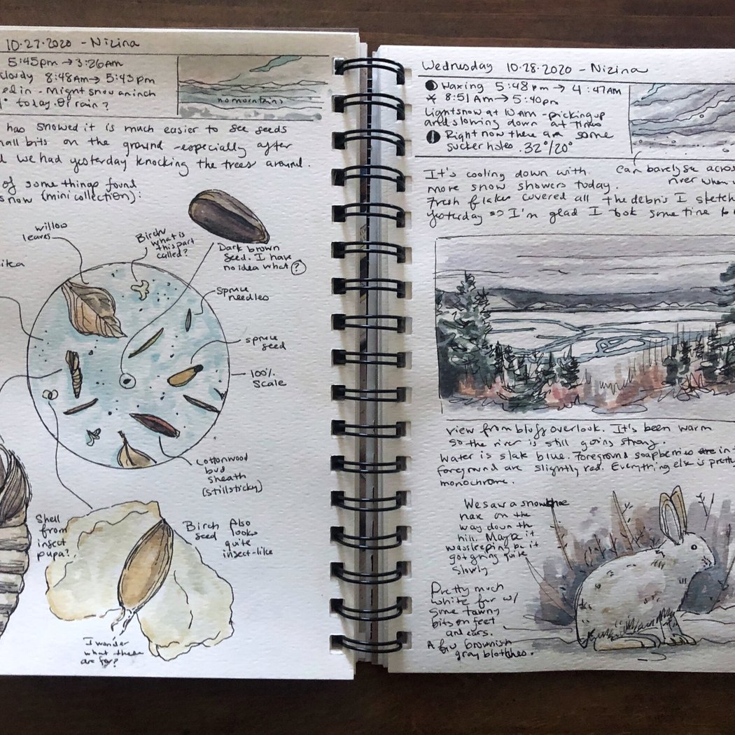 Nature Journaling Meet-Up