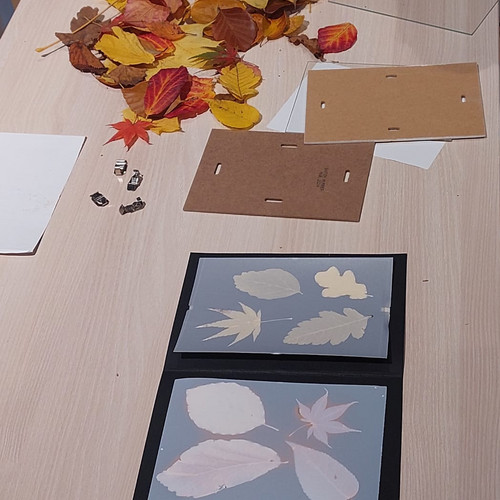 Atelier Photogramme 2