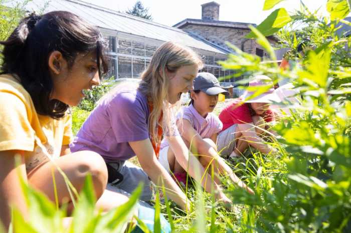 Fall Programs for Kids 1
