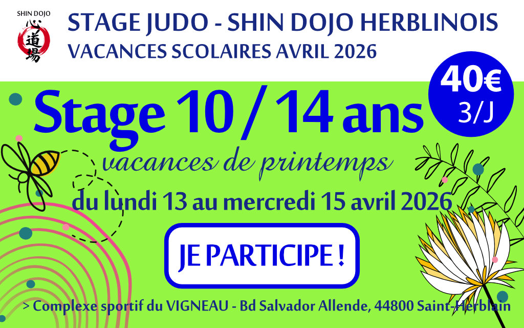 Stage de Judo enfant 2