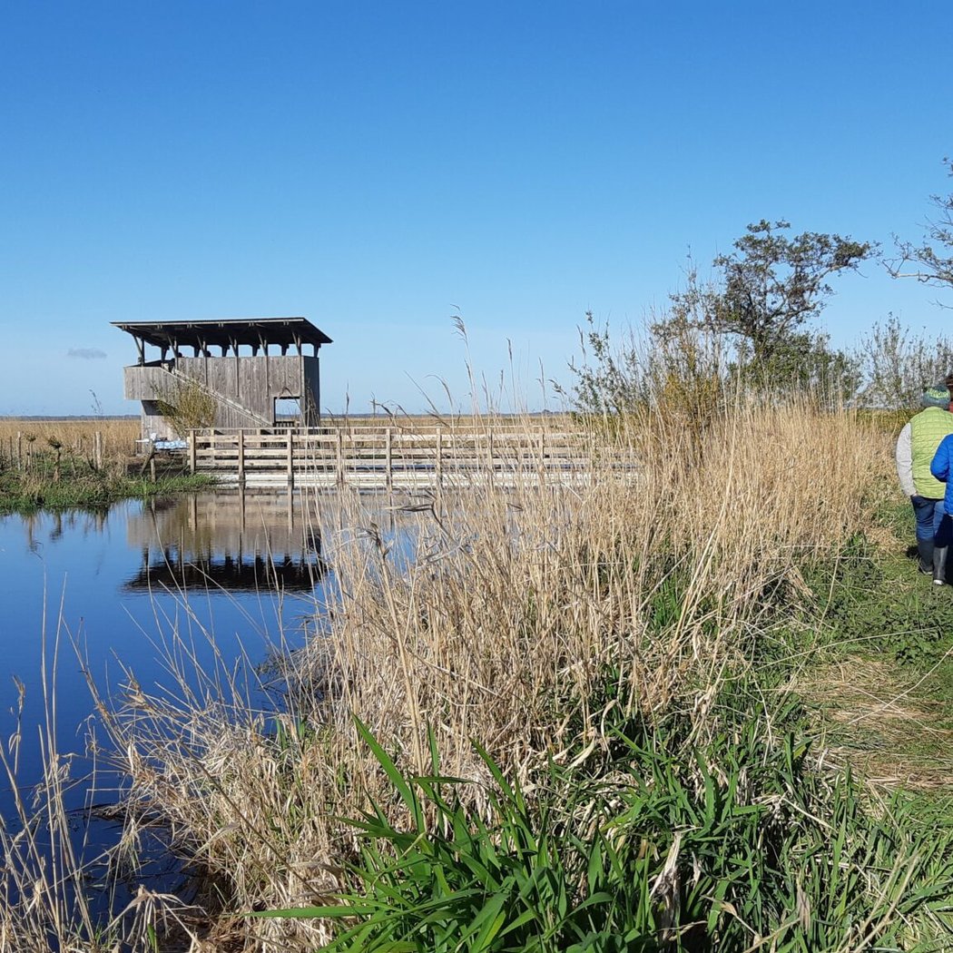 Balade nature et observation – RNR Site Pierre Constant
