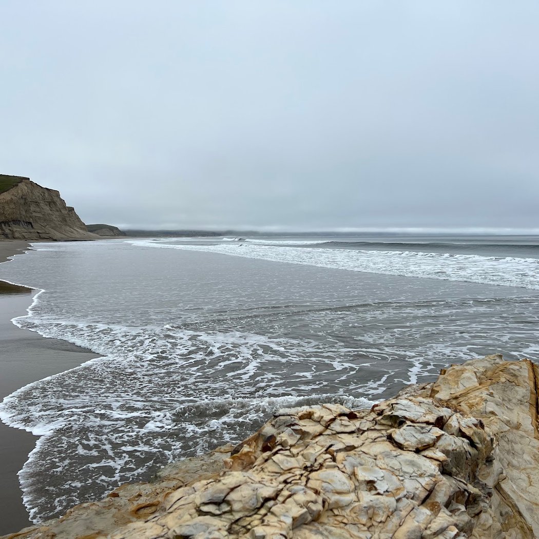 Trip to see elephant seals 3
