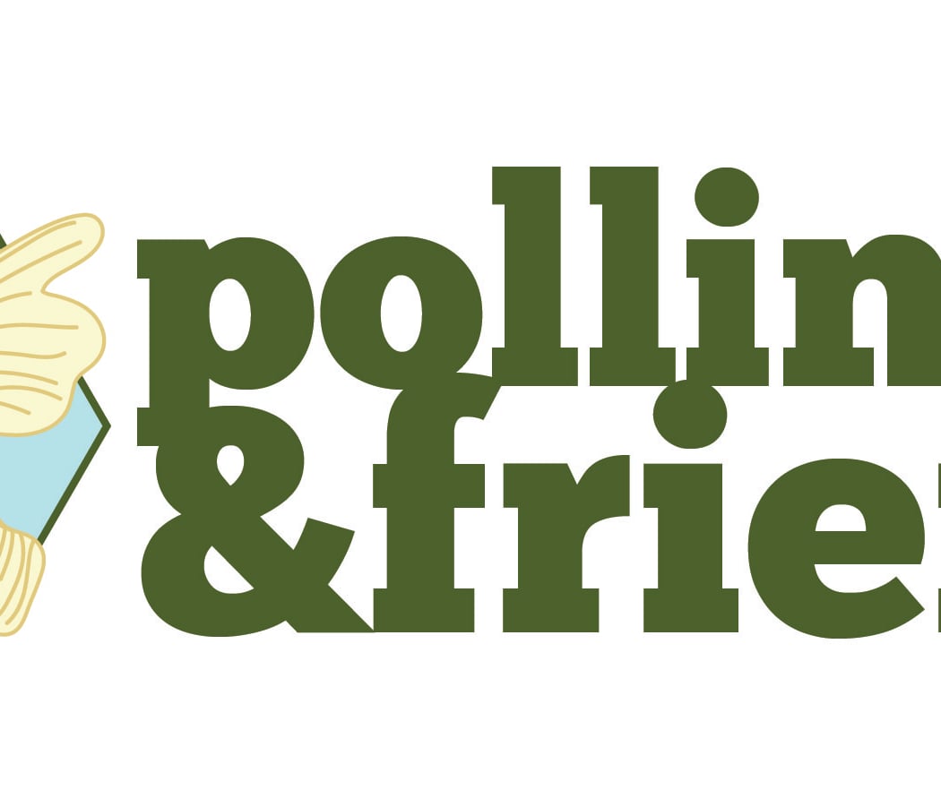 Pollinator & Friends Day 1