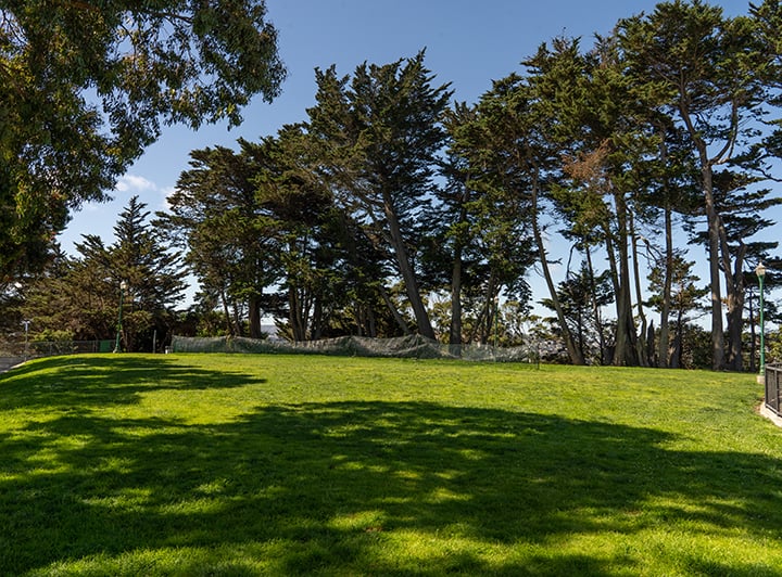 McKinley Square 1